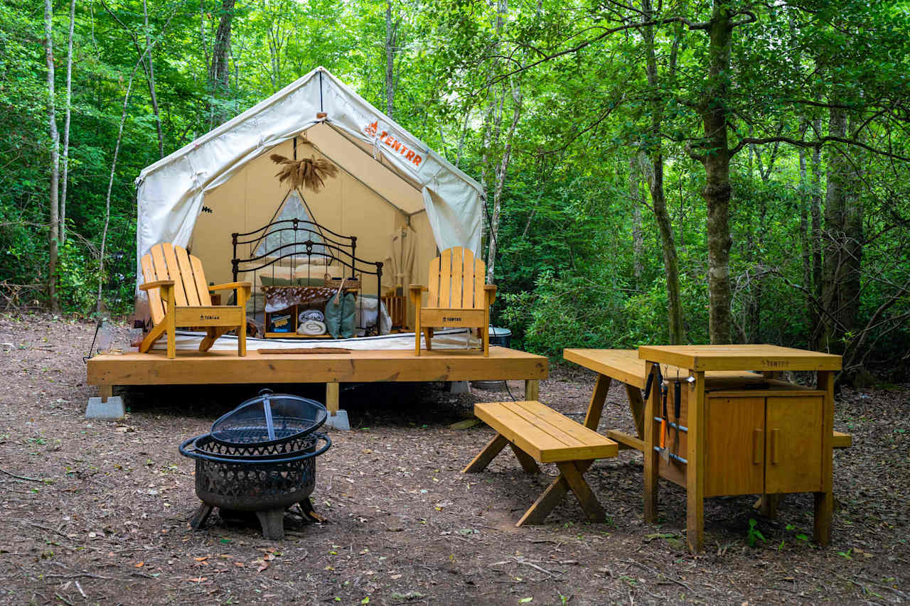 Starlight Glamping on Saluda River