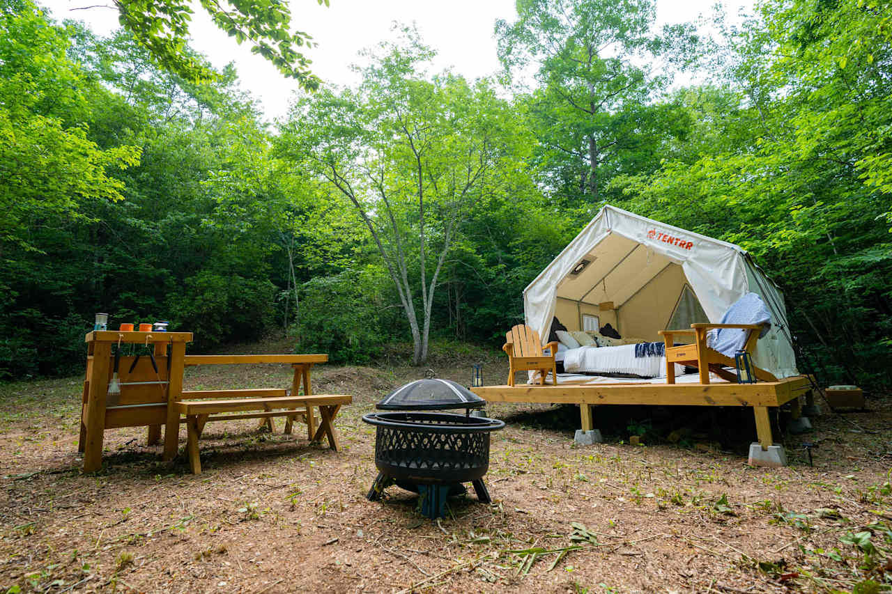 Starlight Glamping on Saluda River