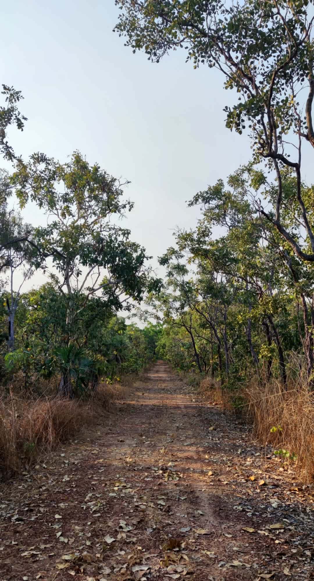 Naturist Marumba Bush Camp