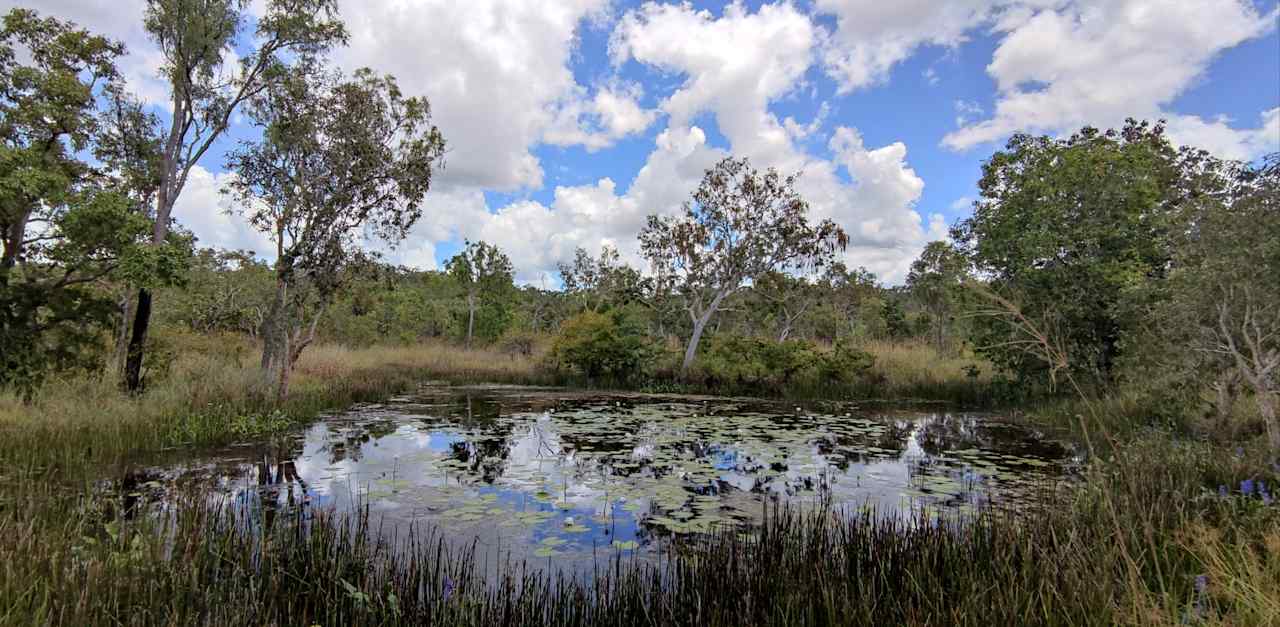 Naturist Marumba Bush Camp