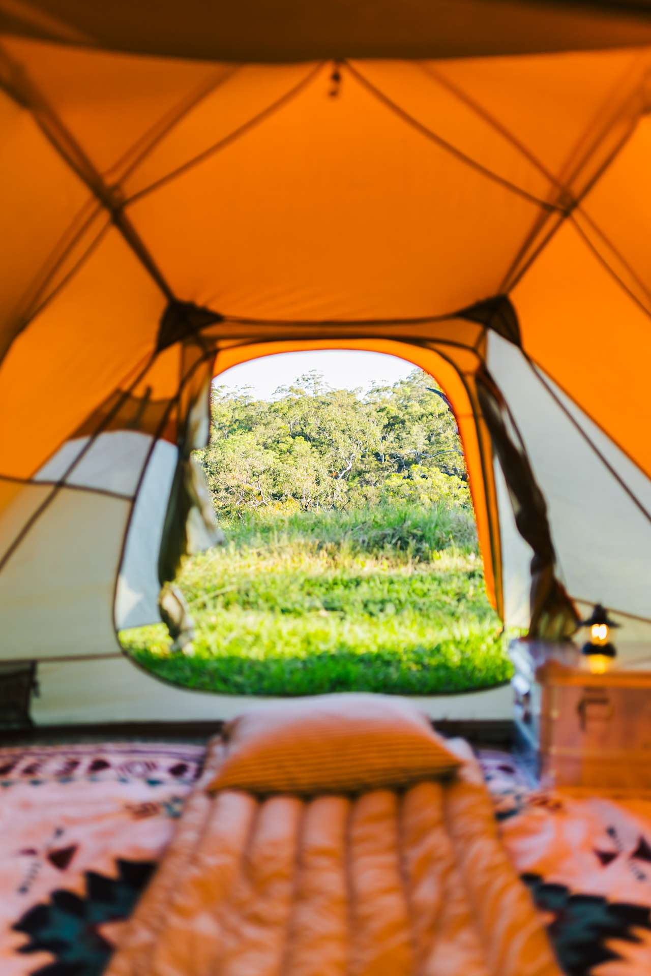 View from the tent