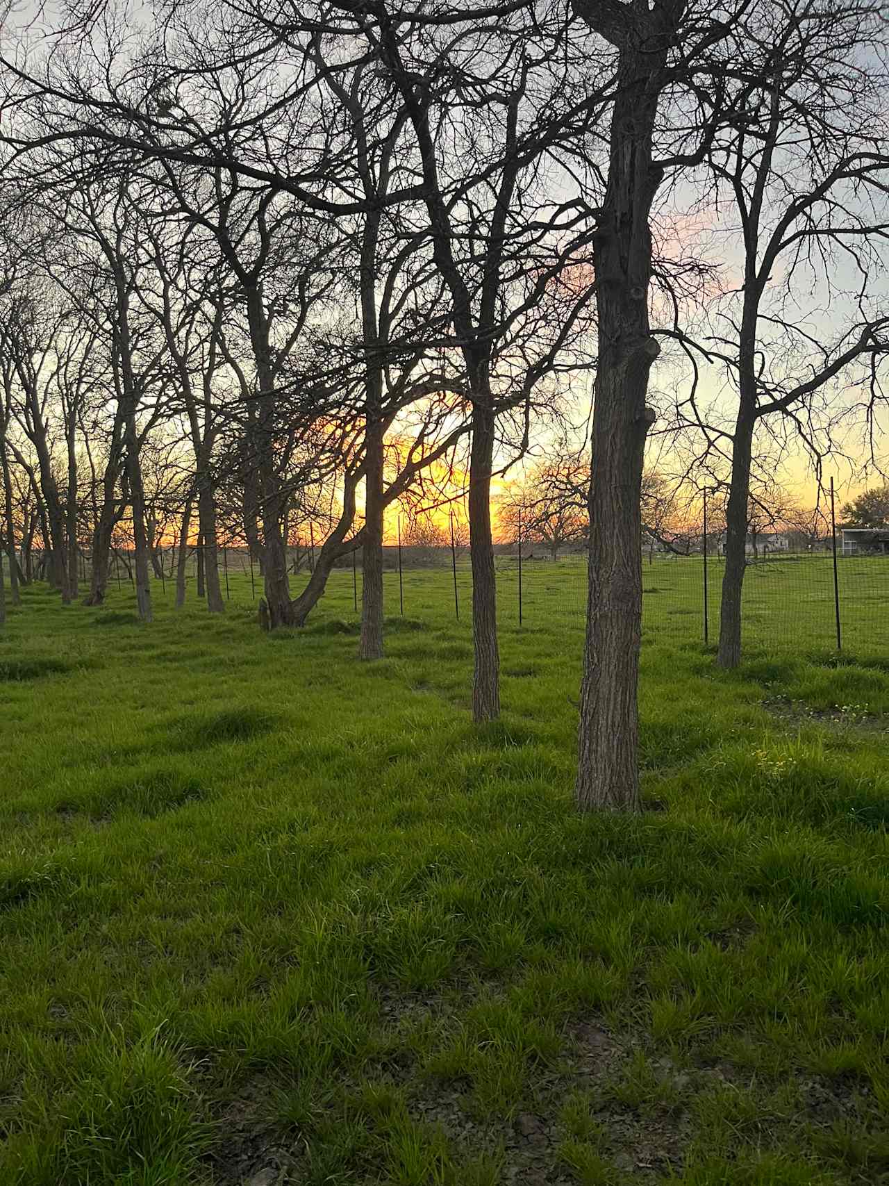 Hope Valley Farm