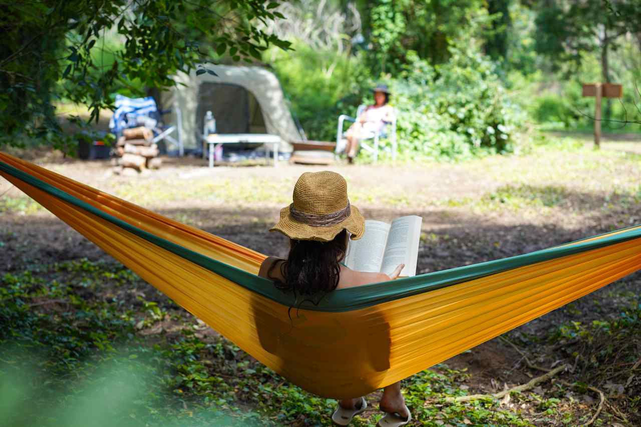 through the hammock up