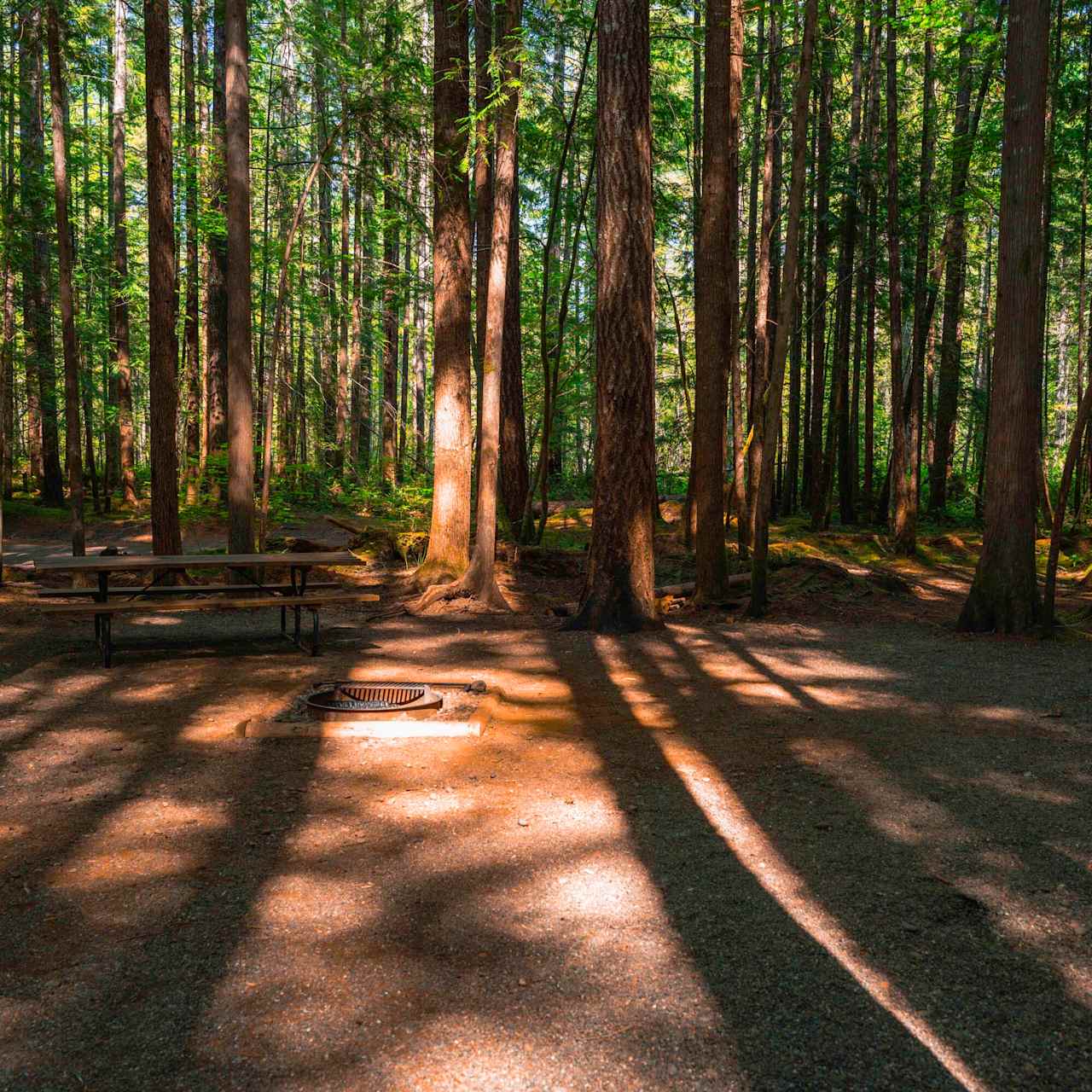Skokomish Park At Lake Cushman