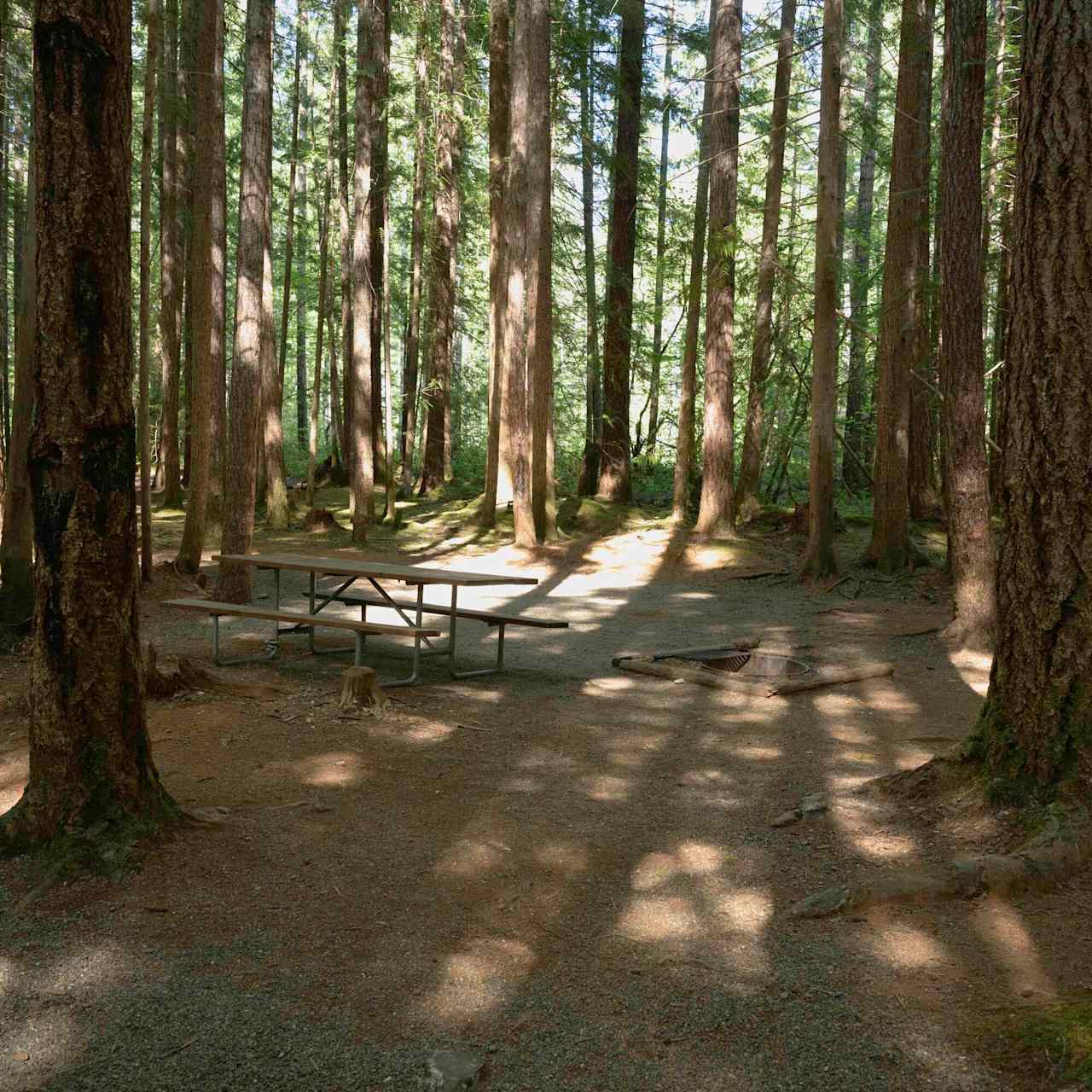 Skokomish Park At Lake Cushman
