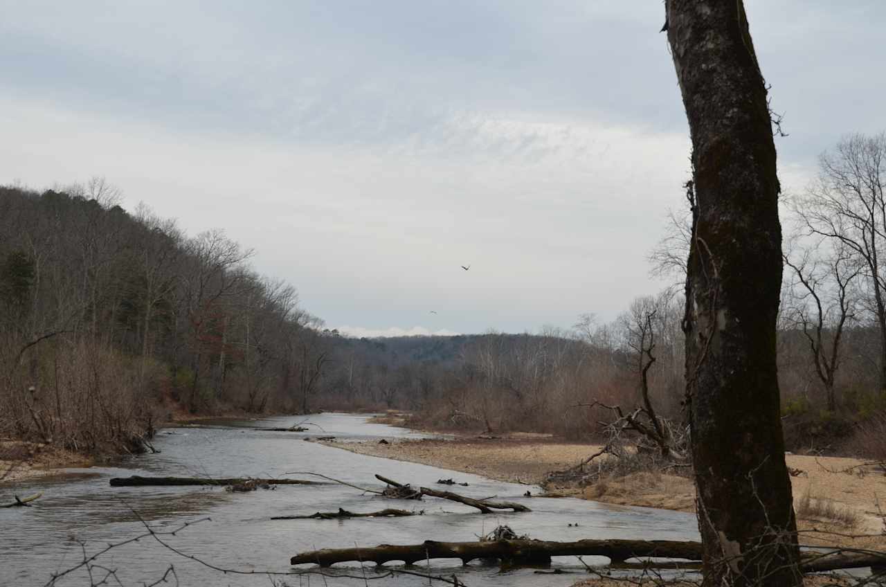 Bryant Creek running through our property.