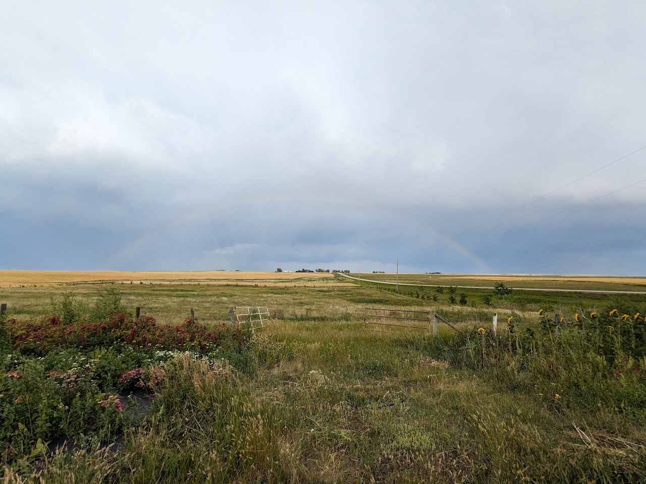 Marigold Farm Cabin