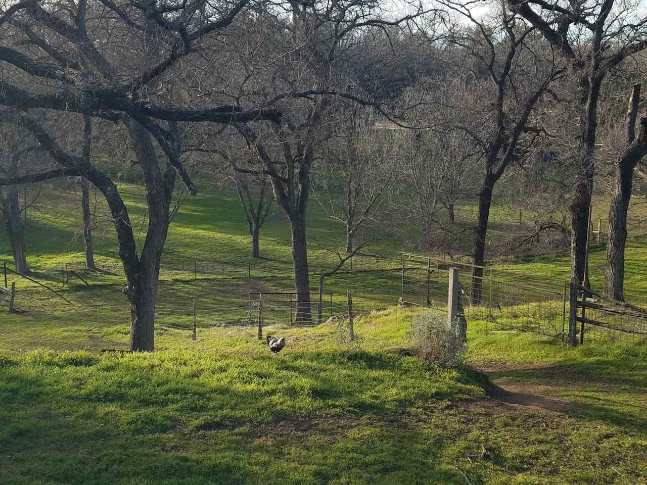 The Hidden Homestead