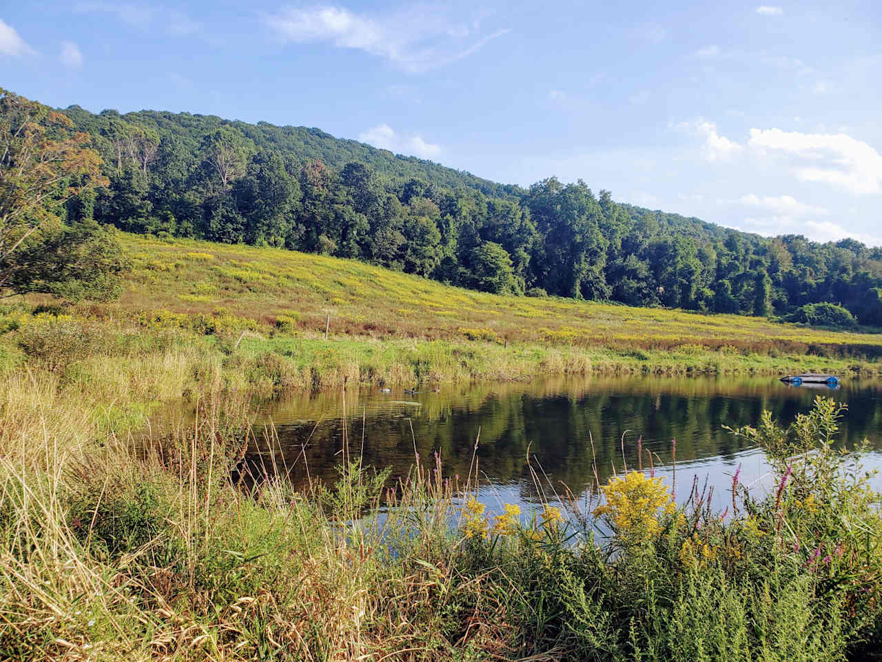 Maybrook Farm - The Ridge