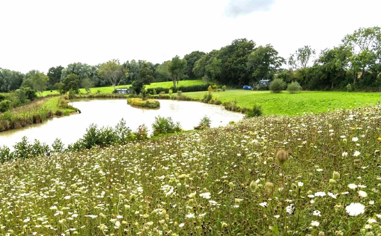 Hastingford Fishery Glamping