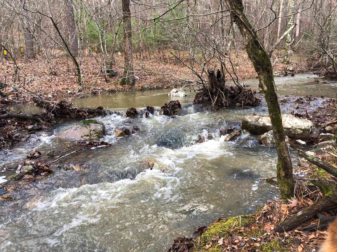 Fourche Mountain Campground