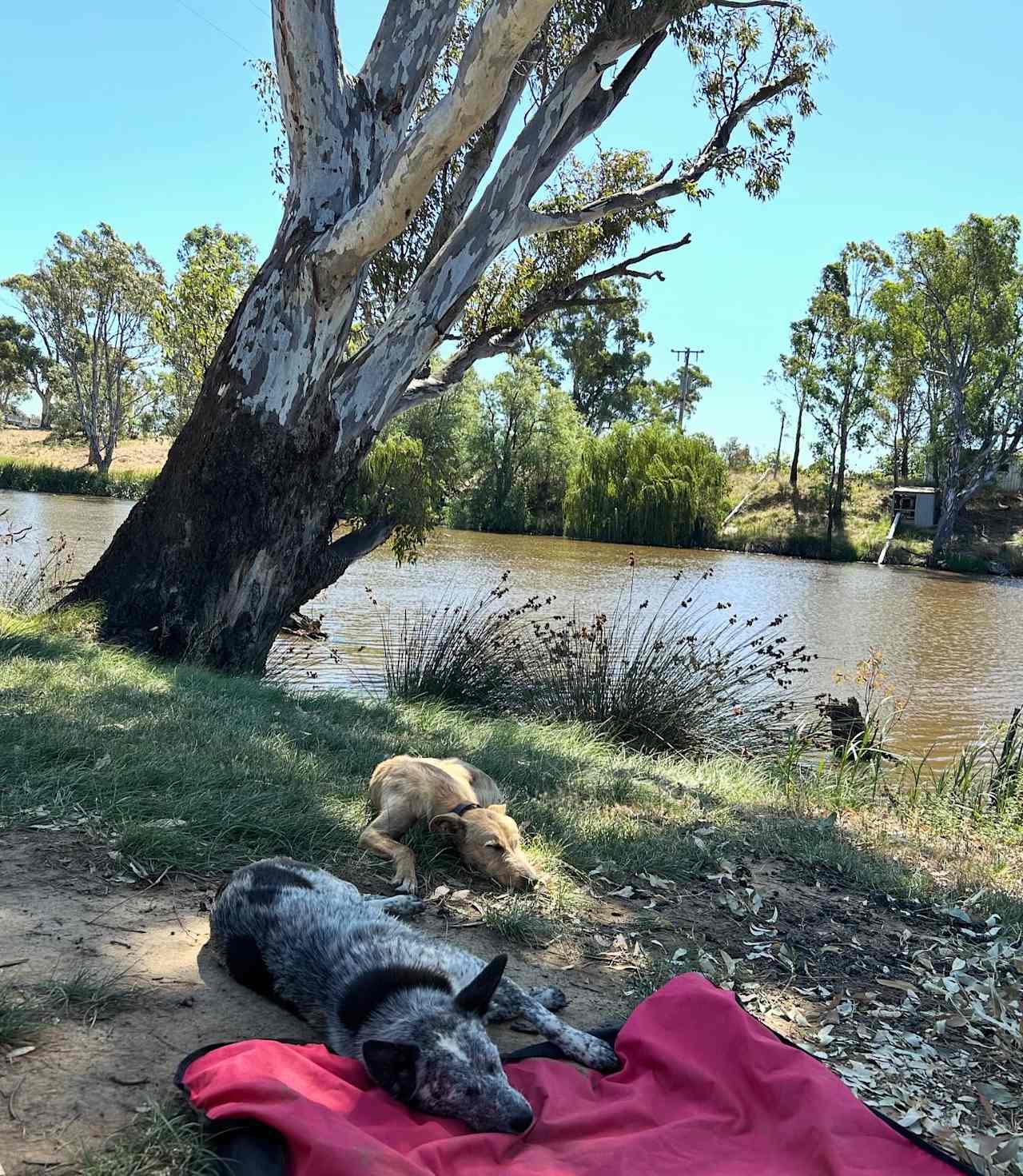 Loddon River Park