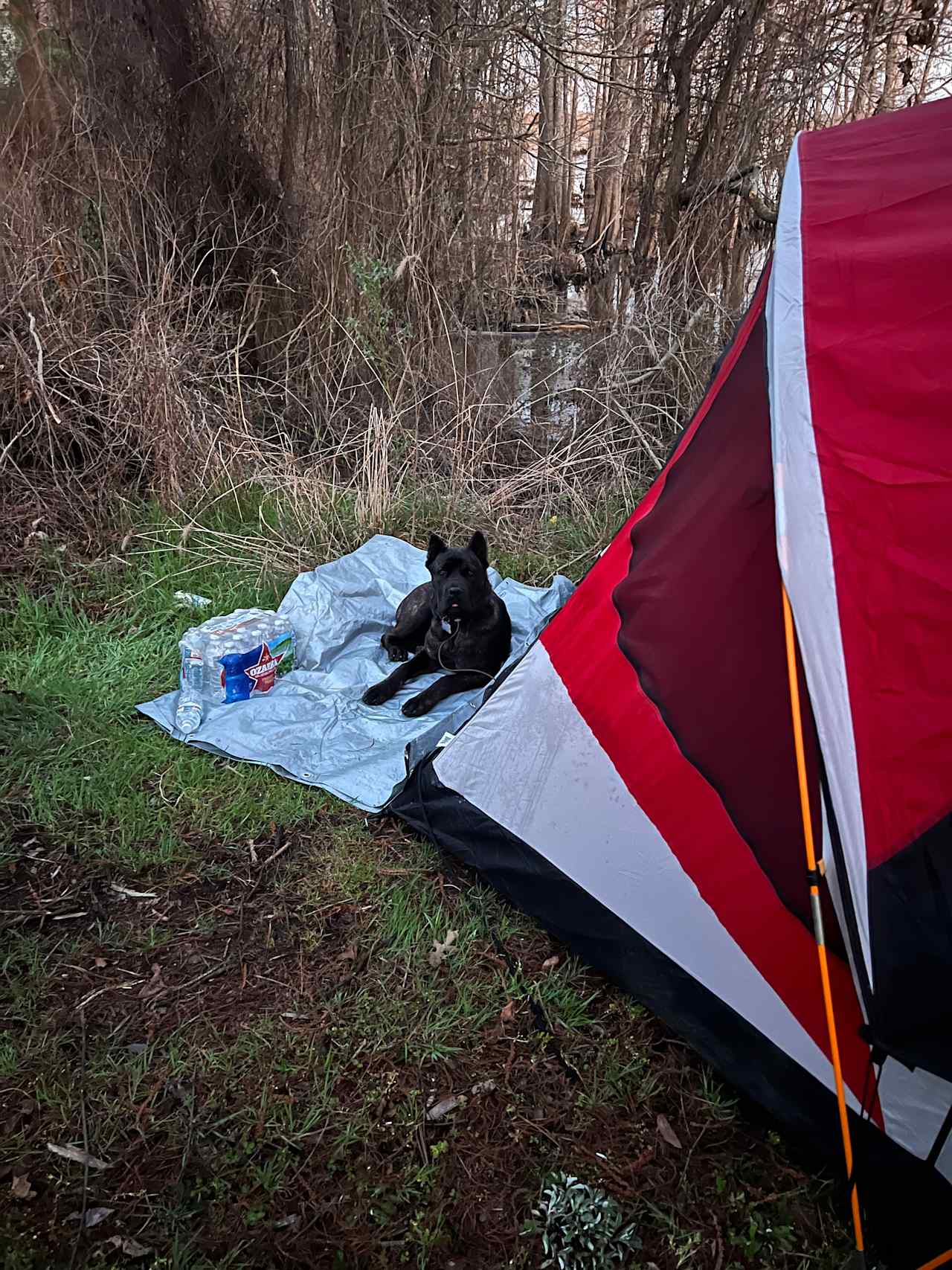 Hart’s Corner Camping