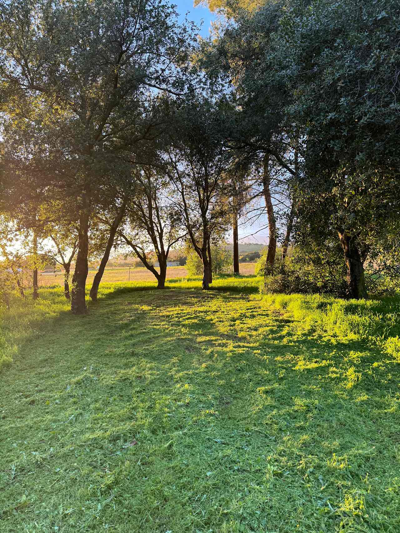 Park At Tar Creeks Ranch