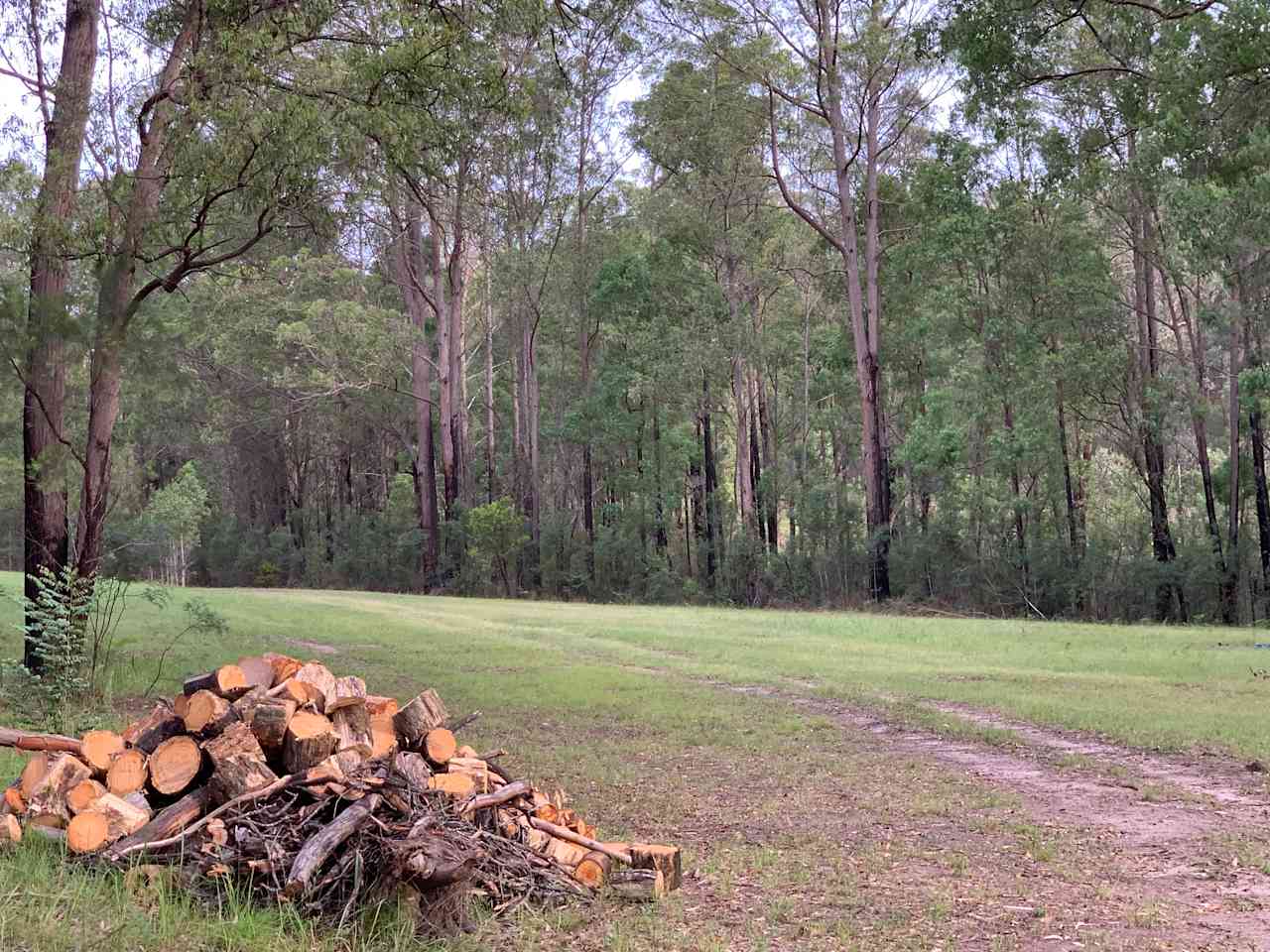 Wollombi Springs