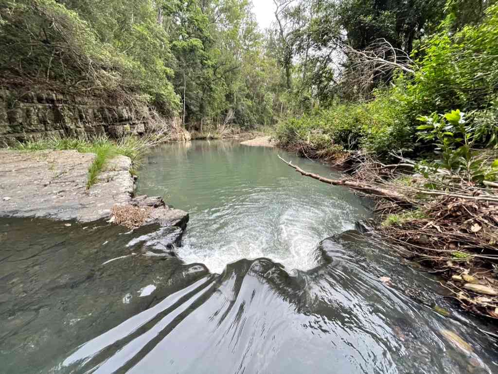 Swimming hole Eight Mile Creek. 