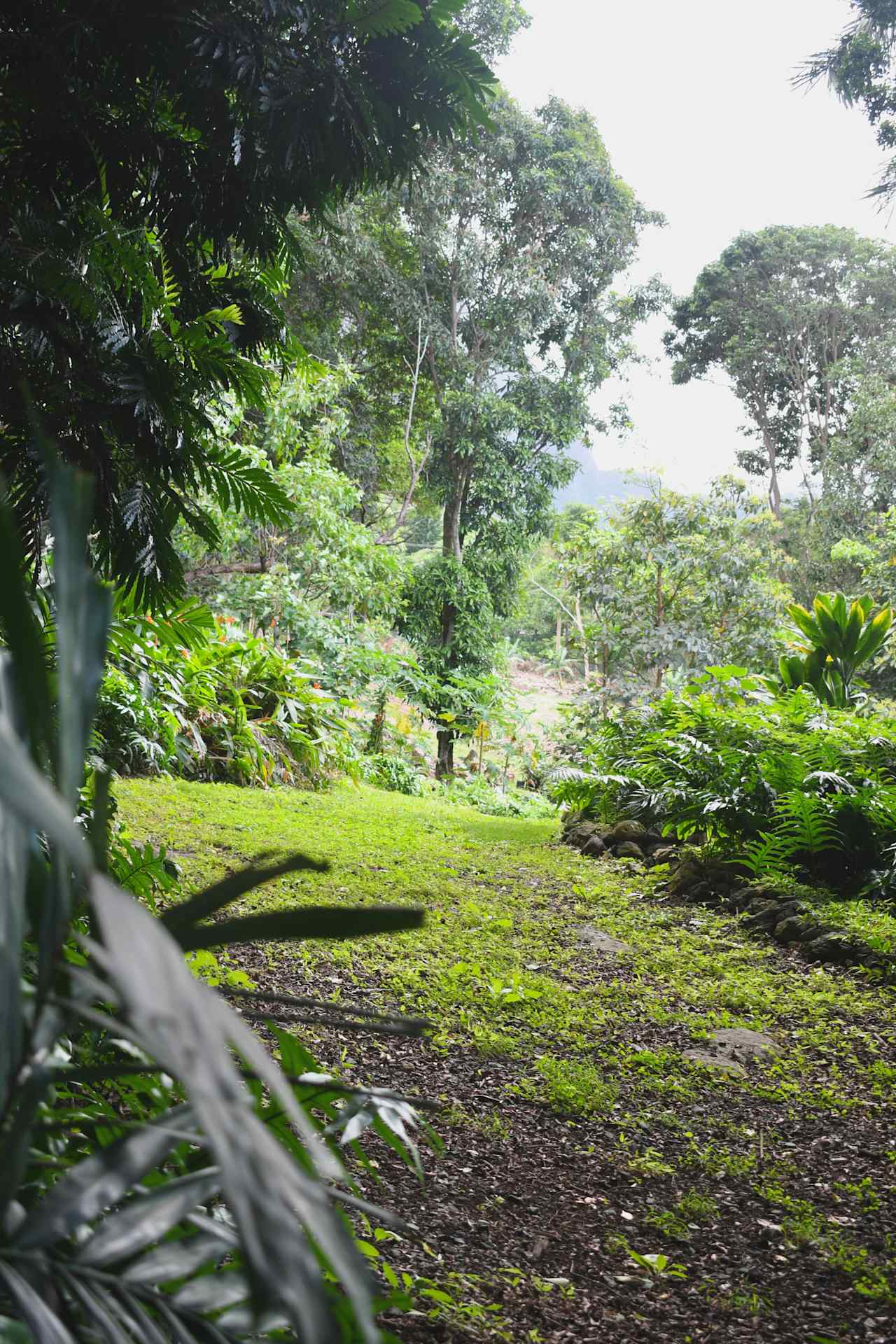 Secluded Mountain Farmstay