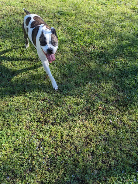 Max also approves. I don't think he's ever been happier