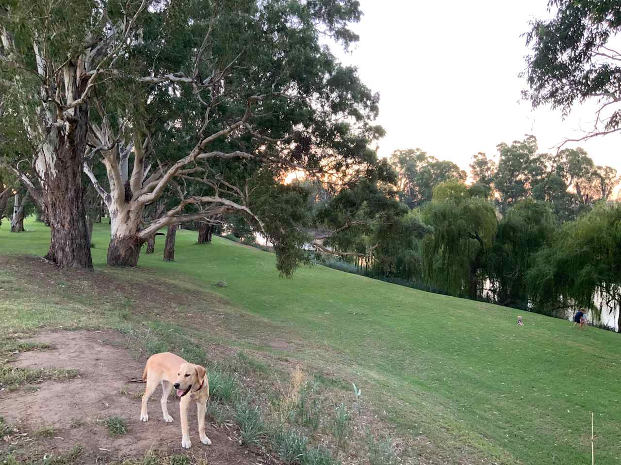 Port on Macquarie