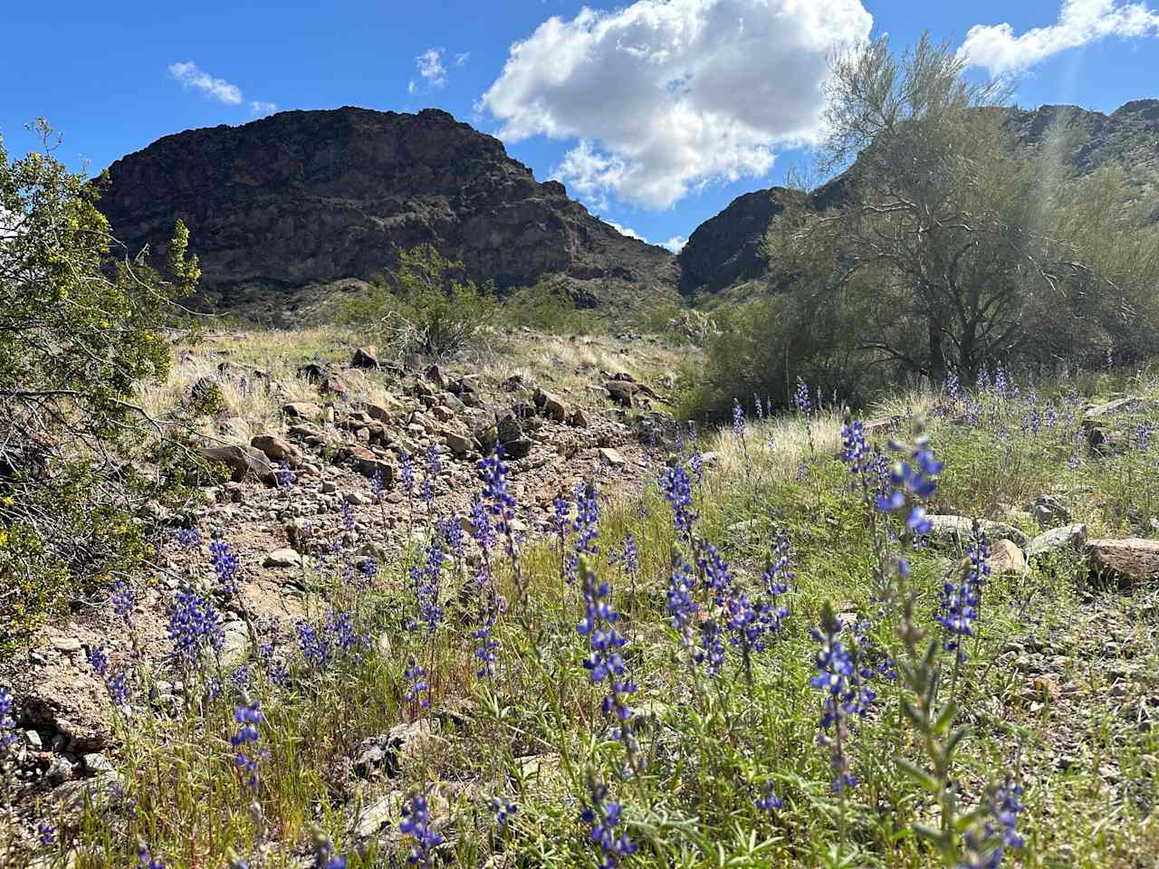 Saddle mountain is about 15 minutes away