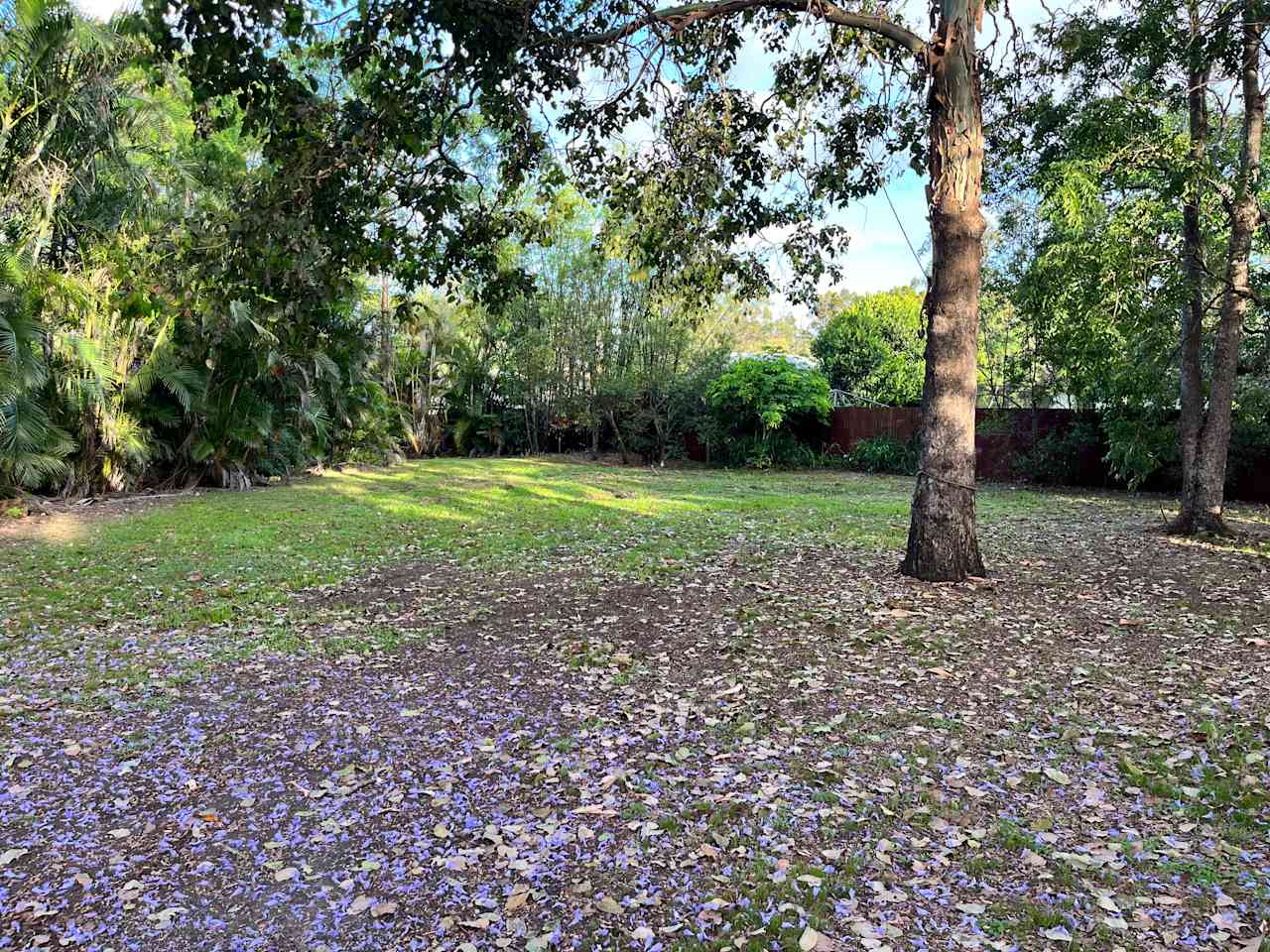 Urban Oasis in Brisbane