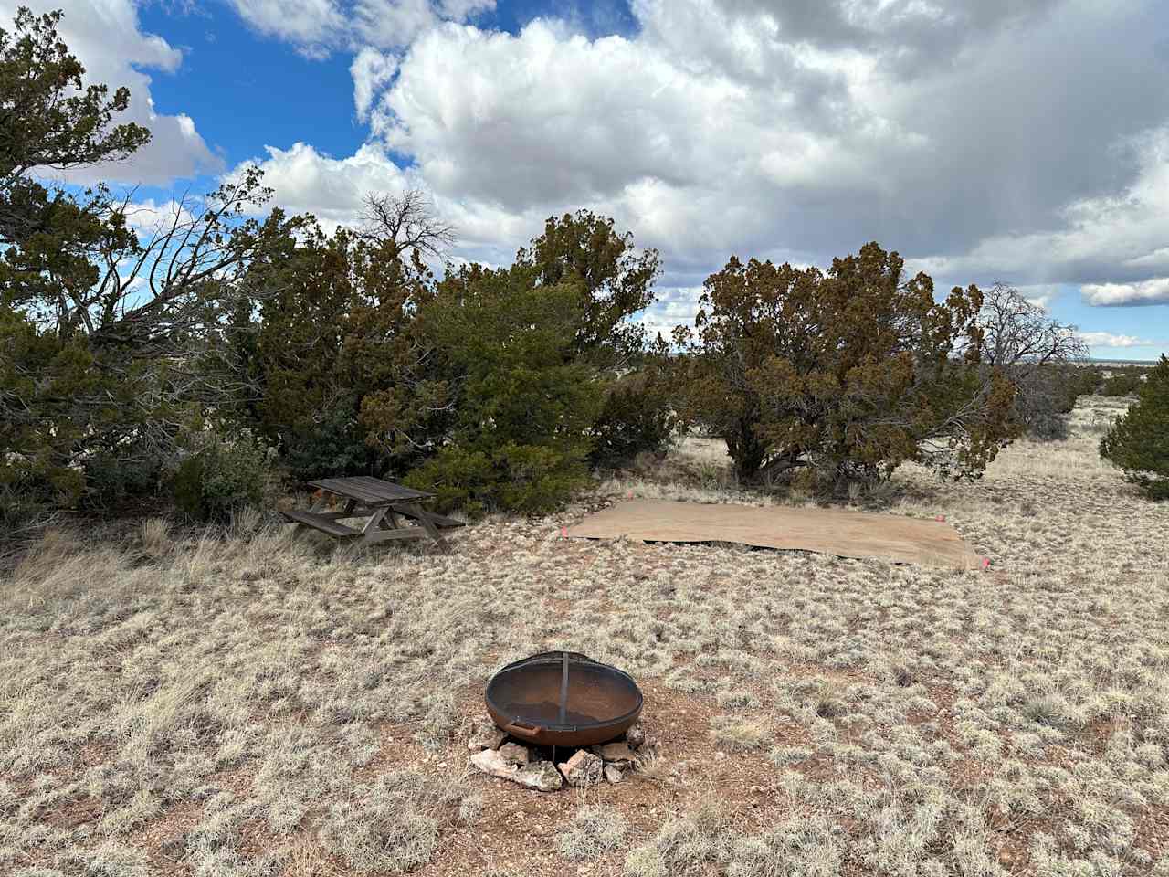 Campsite with fire pit, table, place to pitch a tent.
