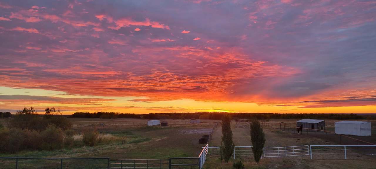 Remuda Horse Ranch