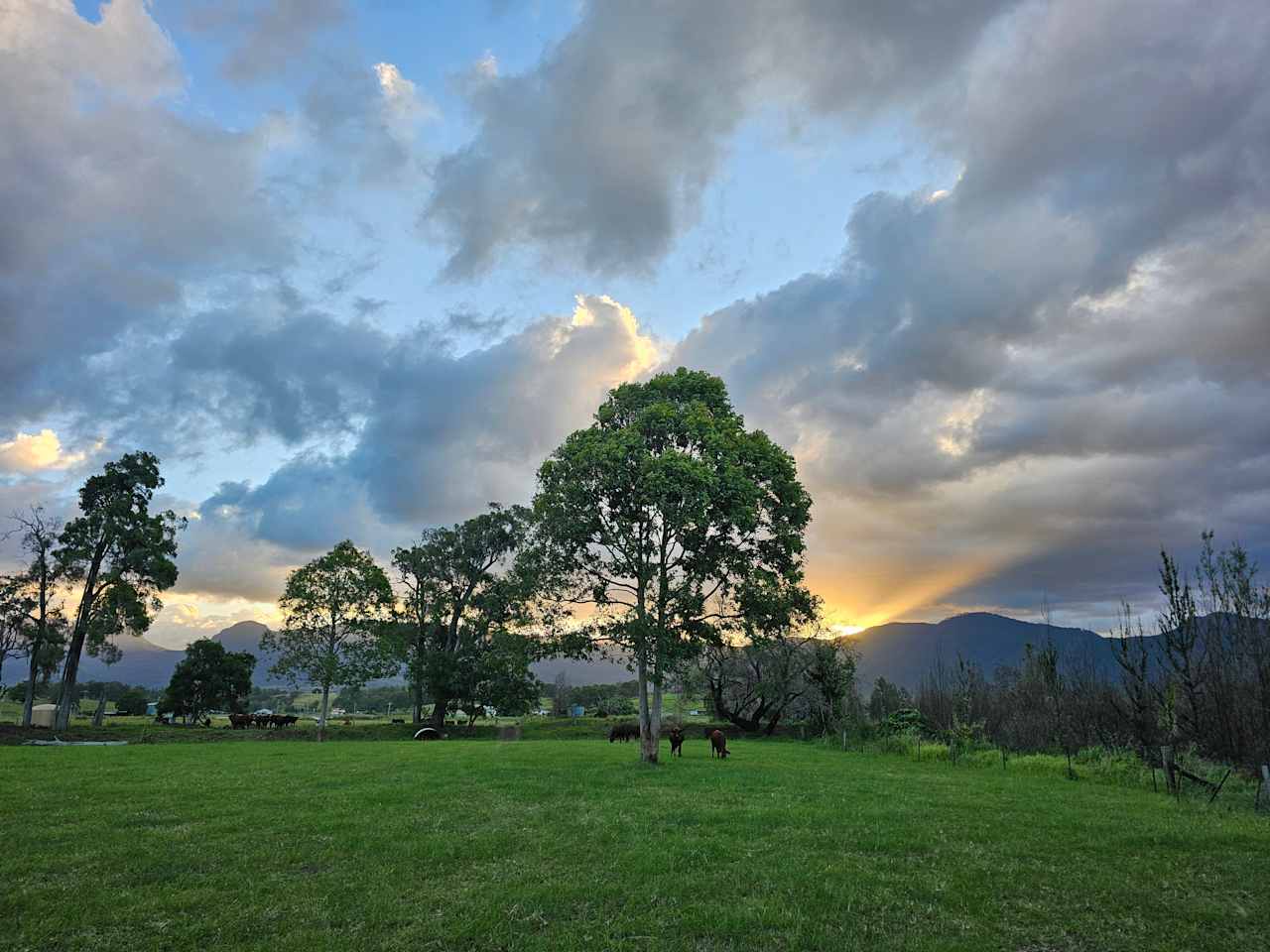 Warrill Creek Camping