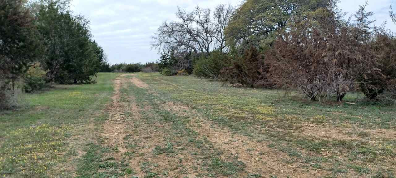 Hill Country Eclipse Camping