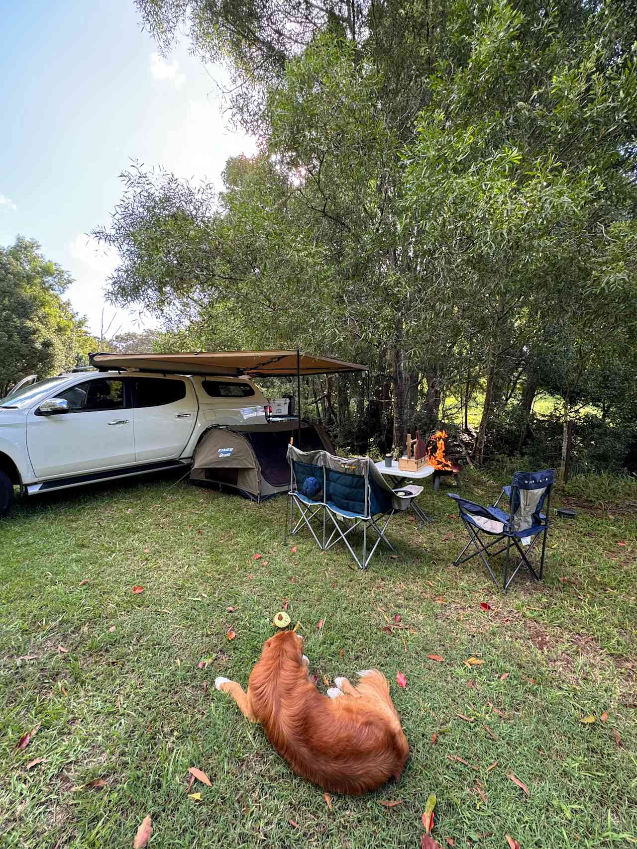 Scholten Family Farm