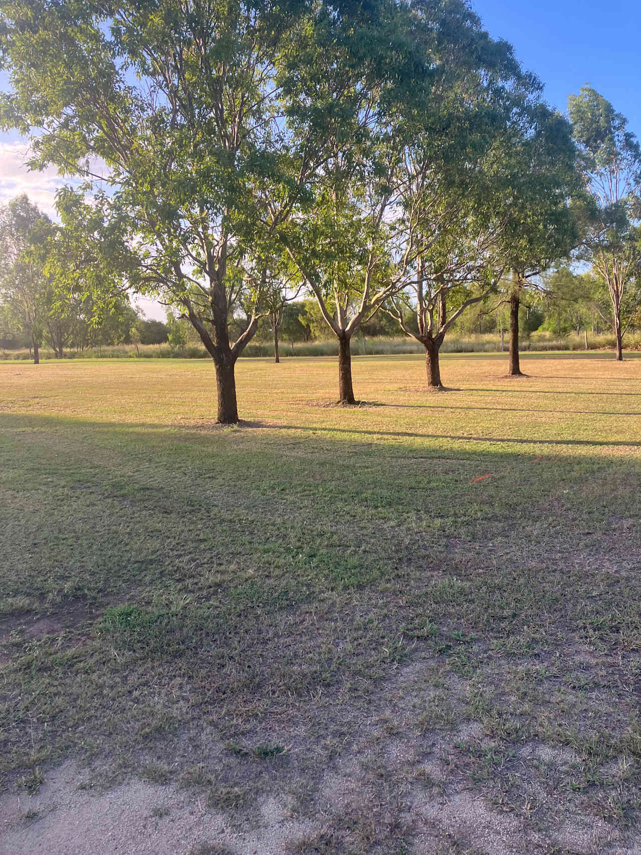 Gracemere Sports Club