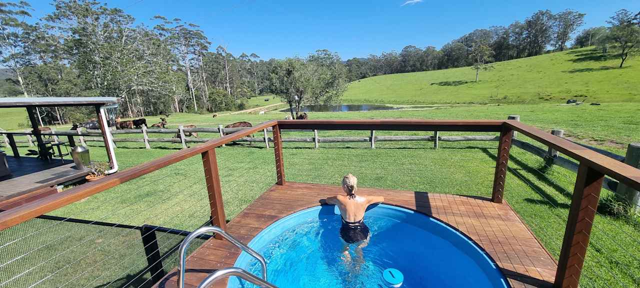 Plunge Pool