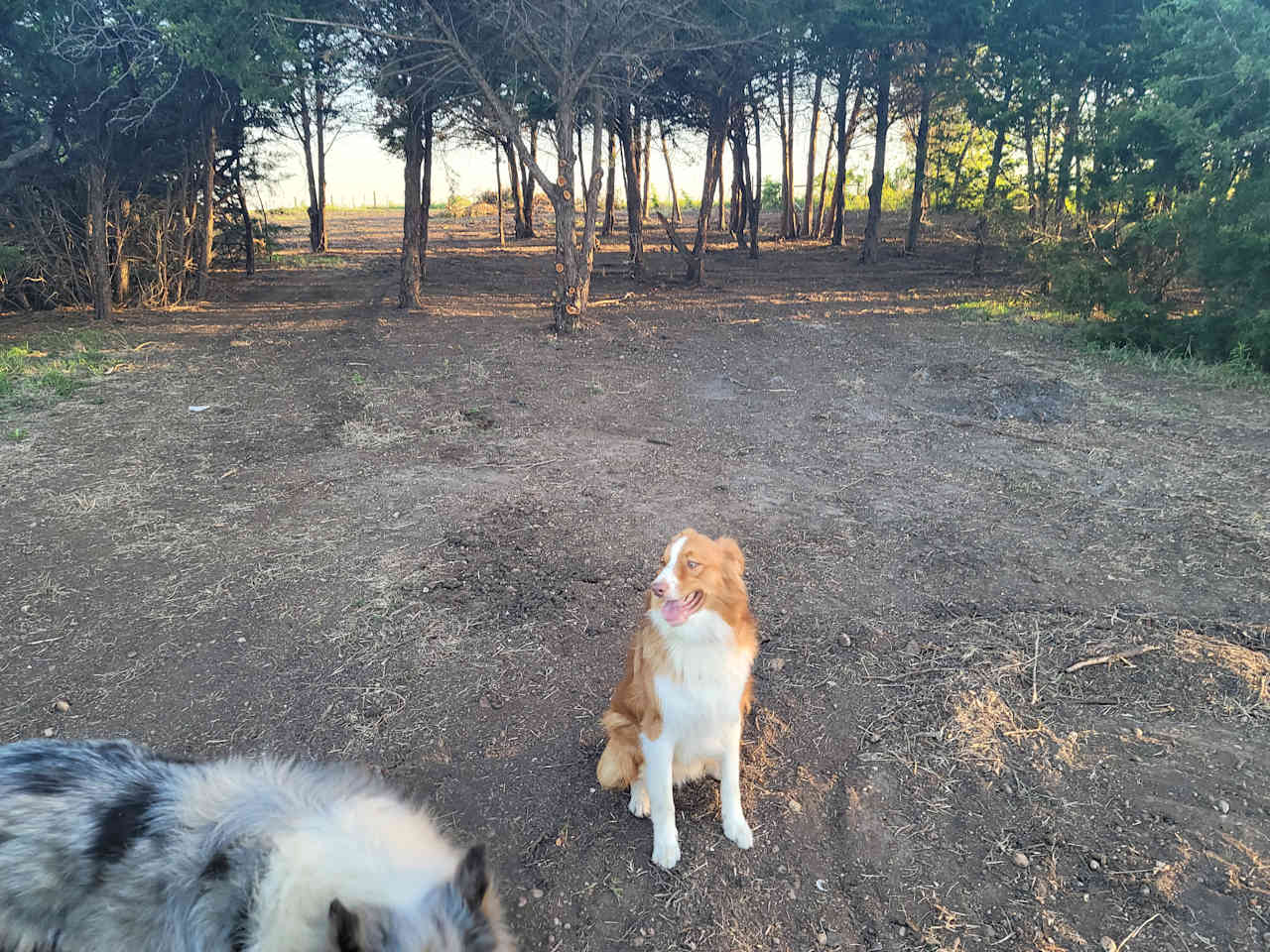 Rancho Arreguin