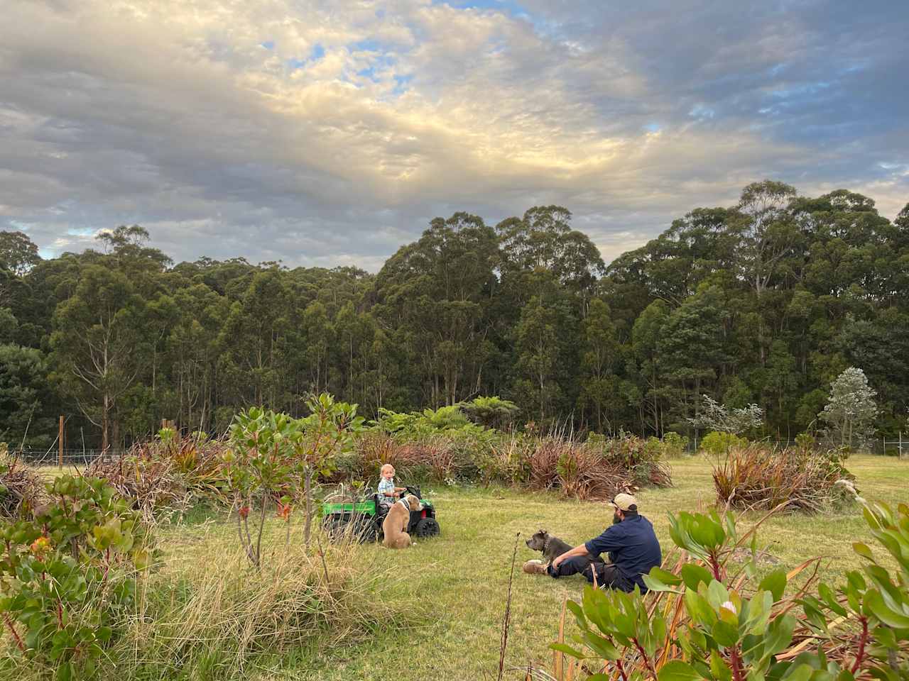 Fowkes Family Flower Farm