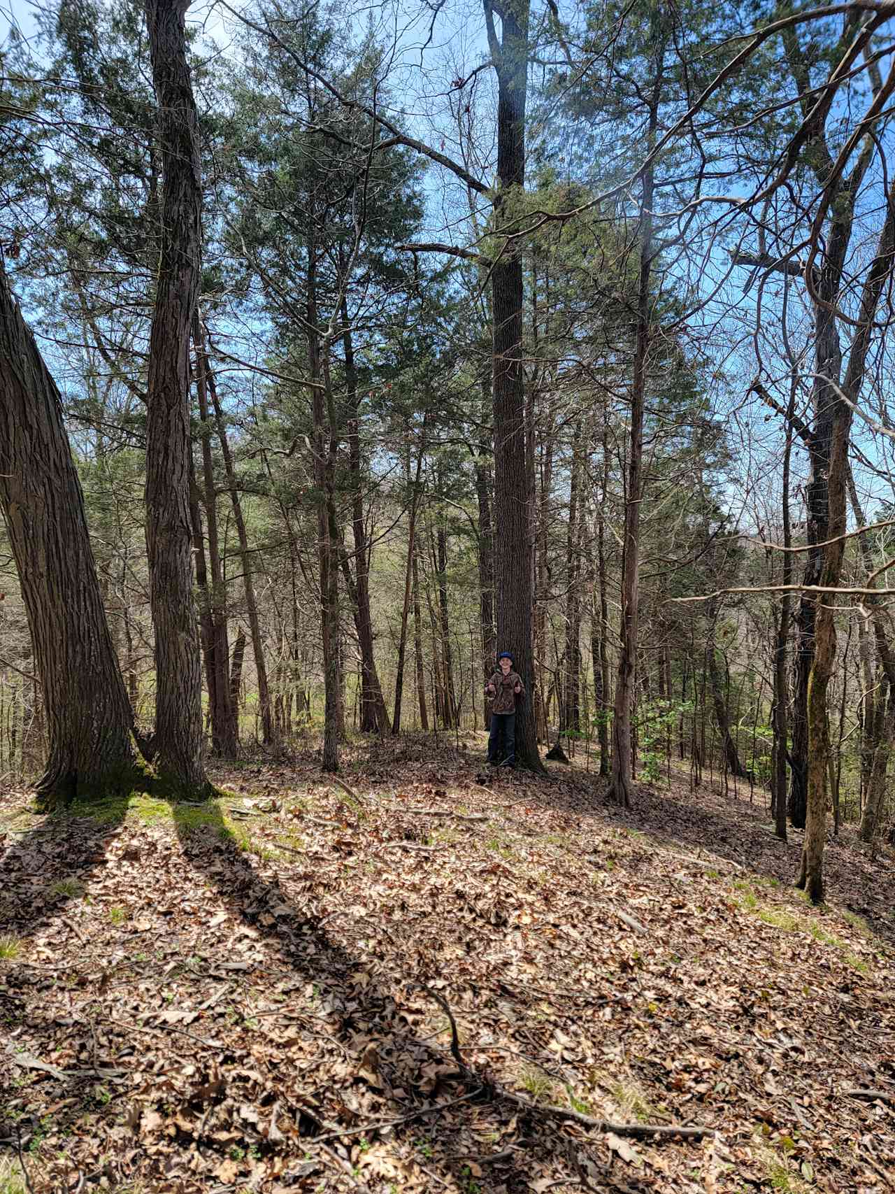 Jones Hideaway & River View Camping