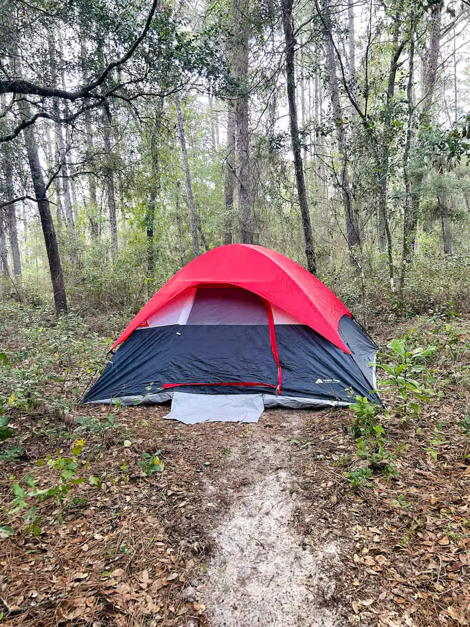 Bring your own tent or rent one of ours for a fee. 