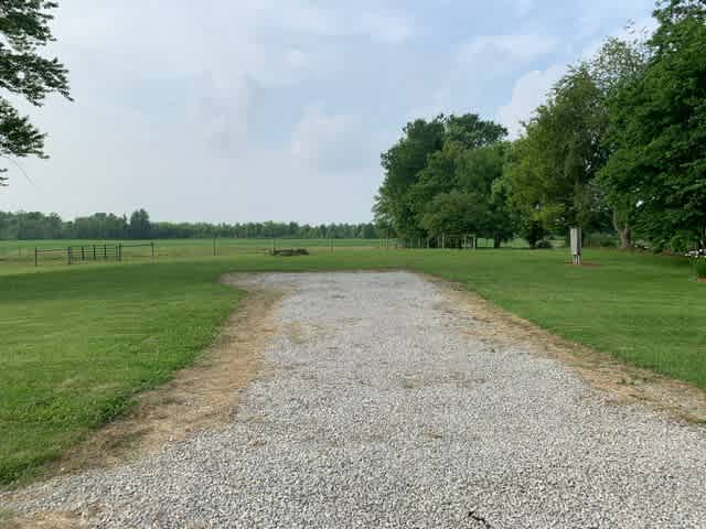 Looking North (from the road) of the campsite with the horse pasture in the background. 