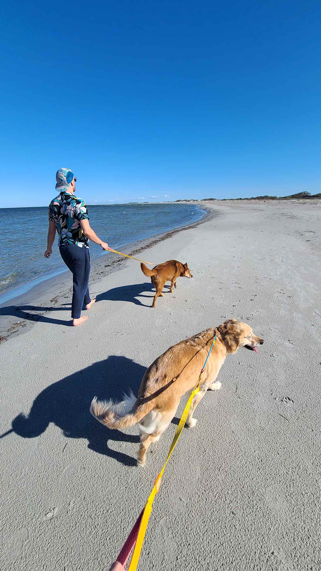 Cedar Island Ranch