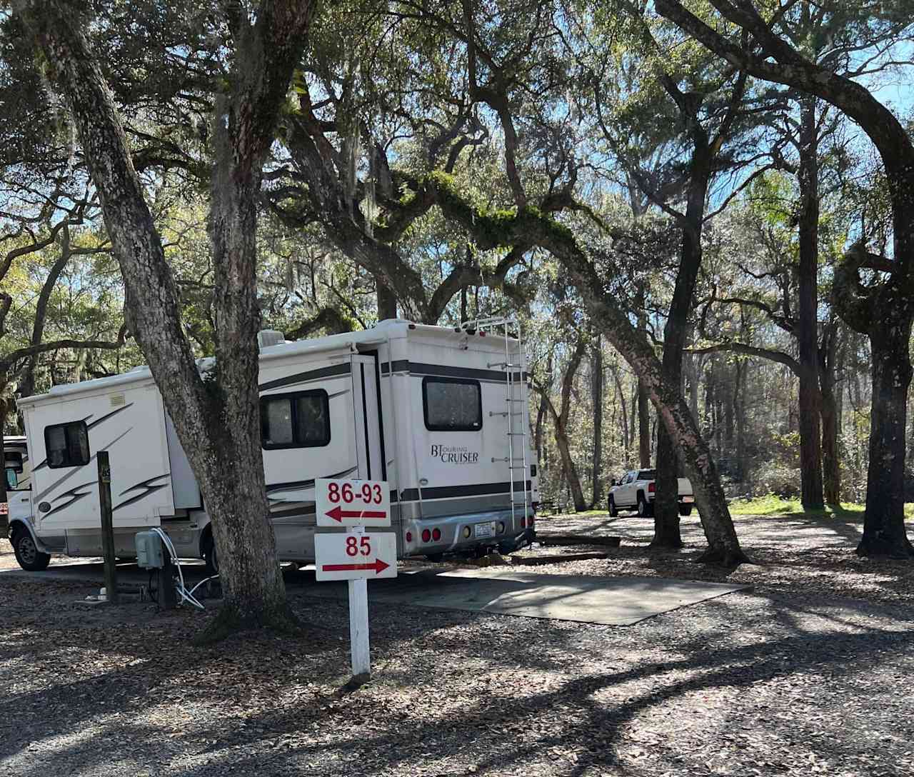 Spacious Skies Savannah Oaks Campground