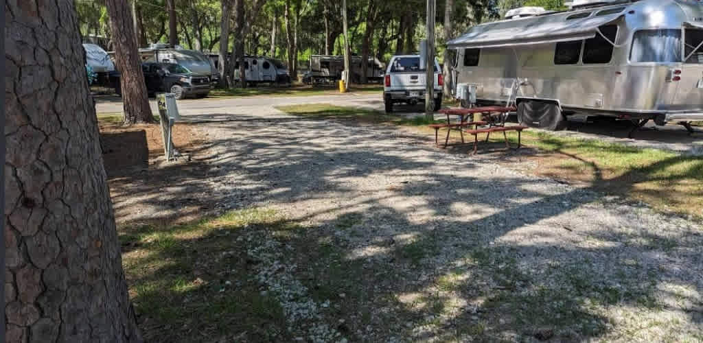 Spacious Skies Savannah Oaks Campground