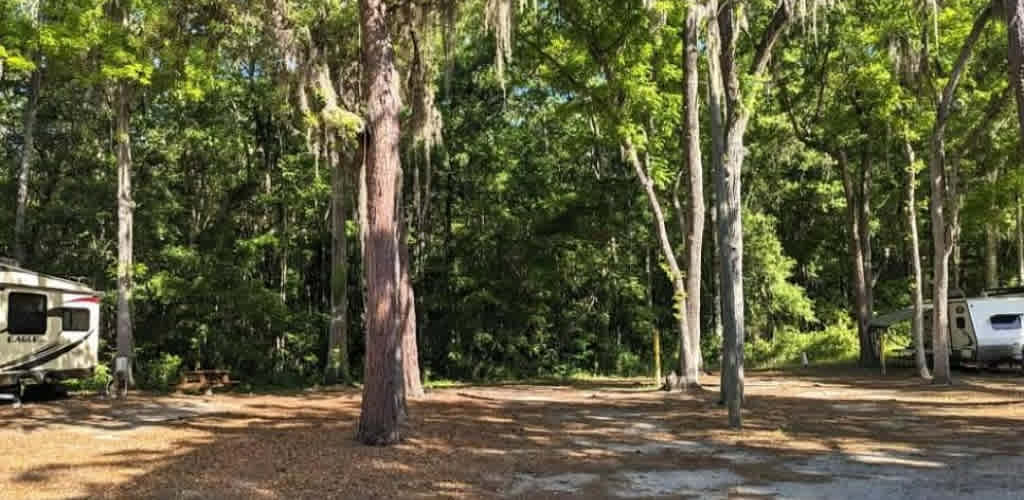 Spacious Skies Savannah Oaks Campground
