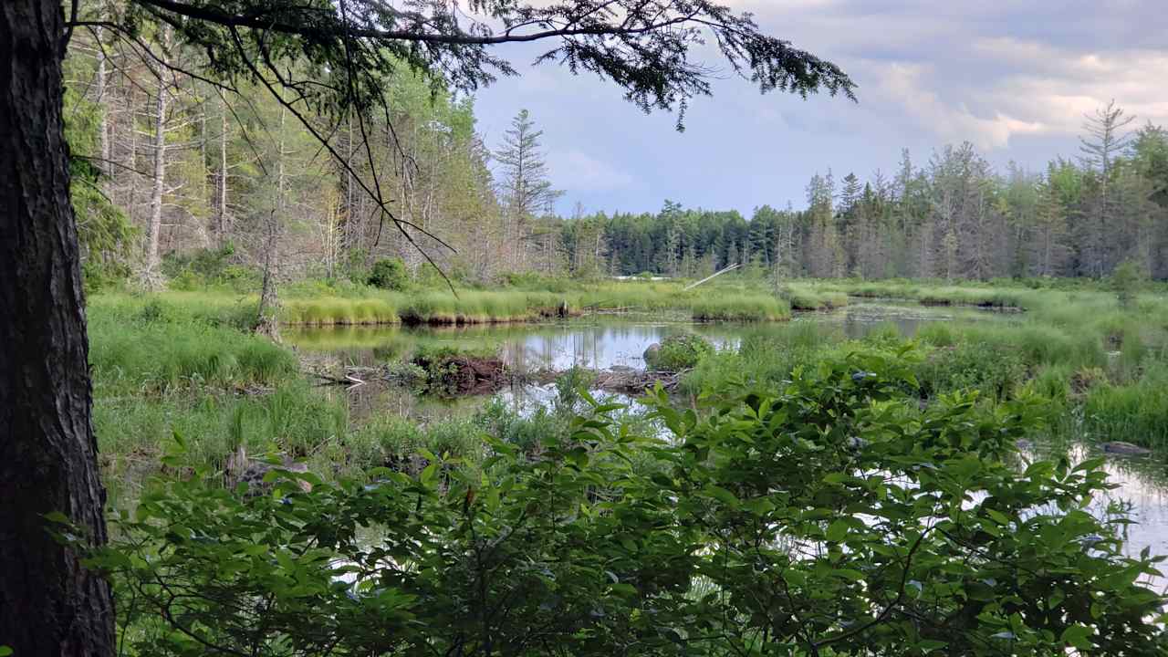 Wild Fox Cabins- The Shoe-Inn