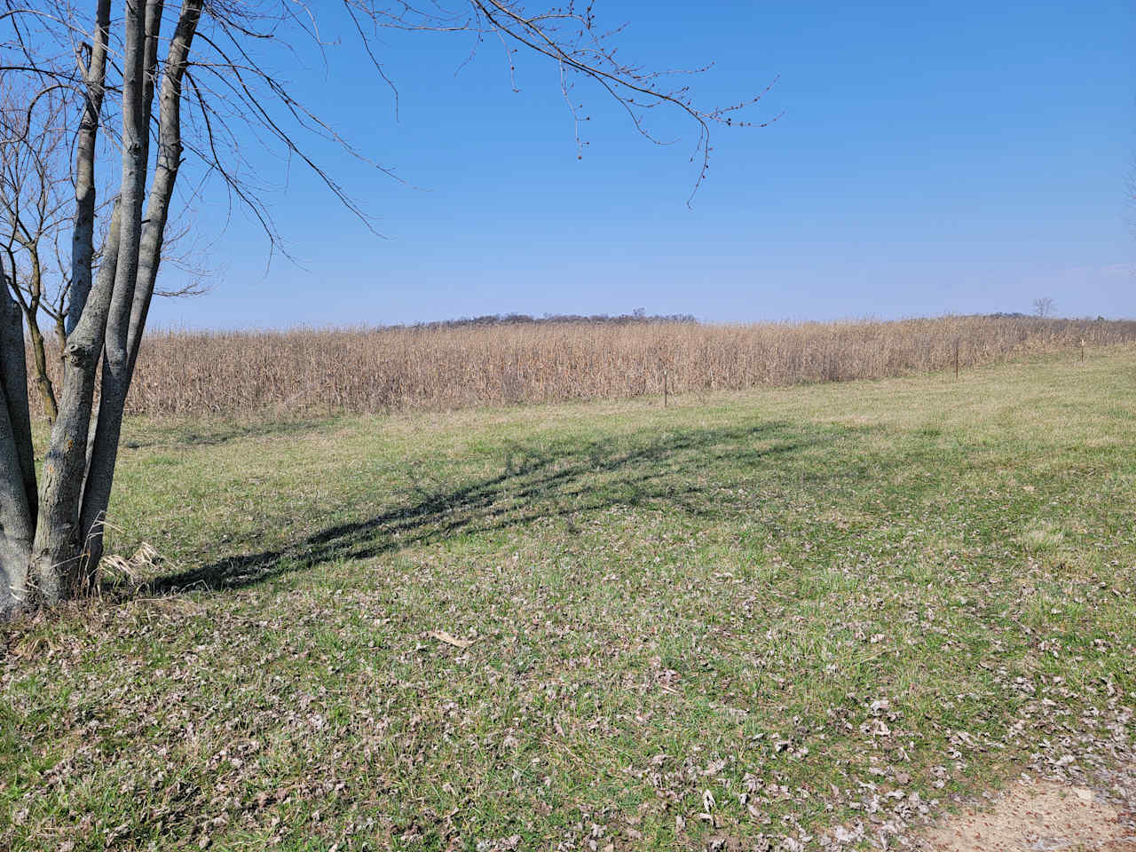 Scott and Amy's Rural Respite