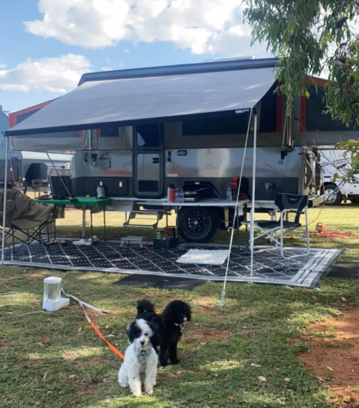 Mountview Farm Stay and Poodles