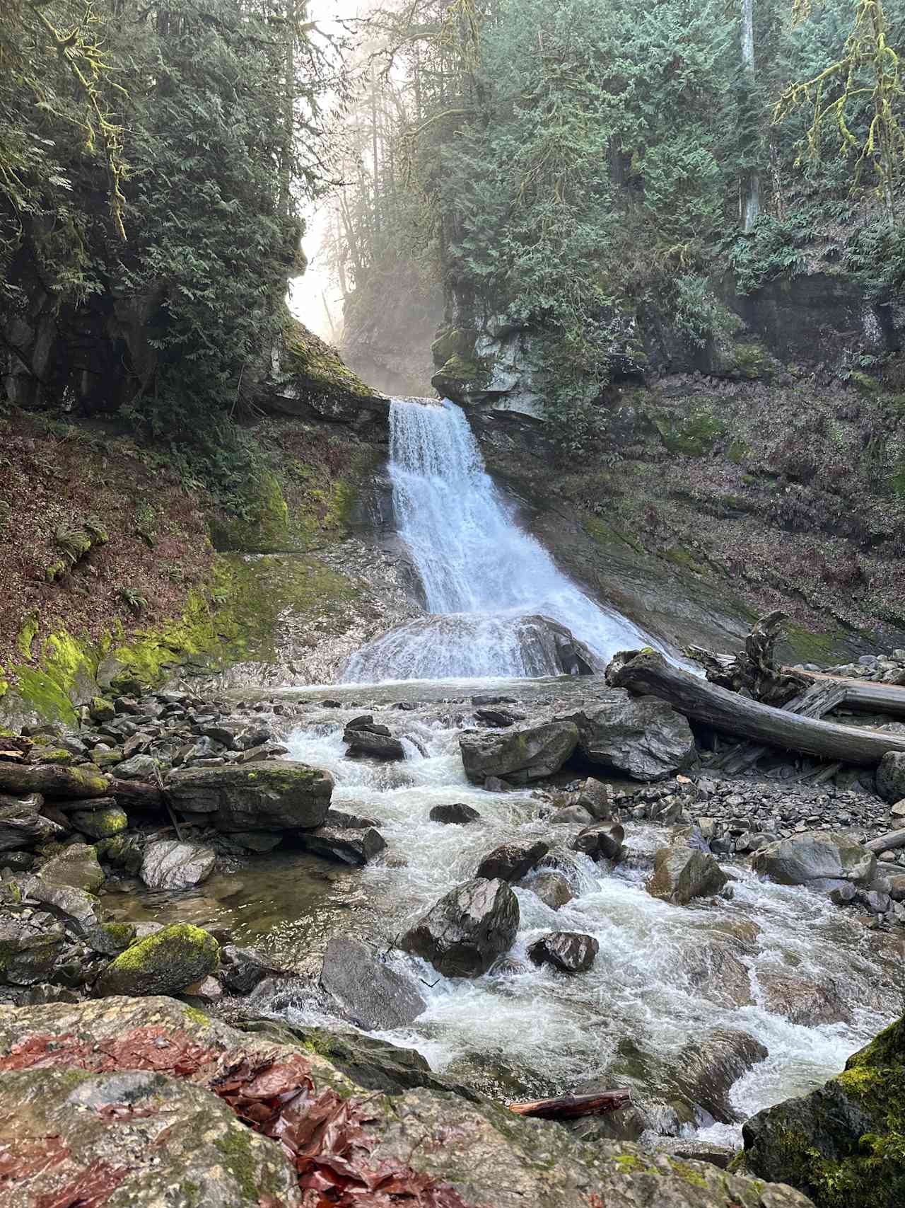 North Eagle Haven @ Mount Baker