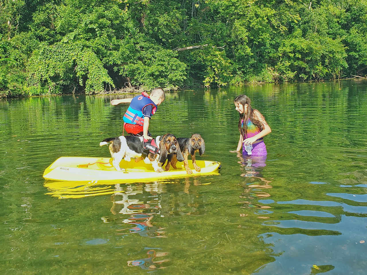 Ozarks Piney Bend Riverfront