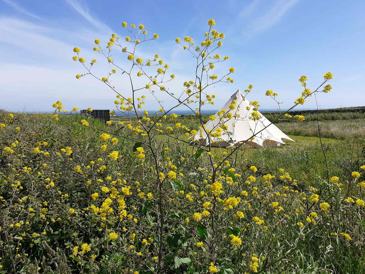 Wild Coastal Retreat