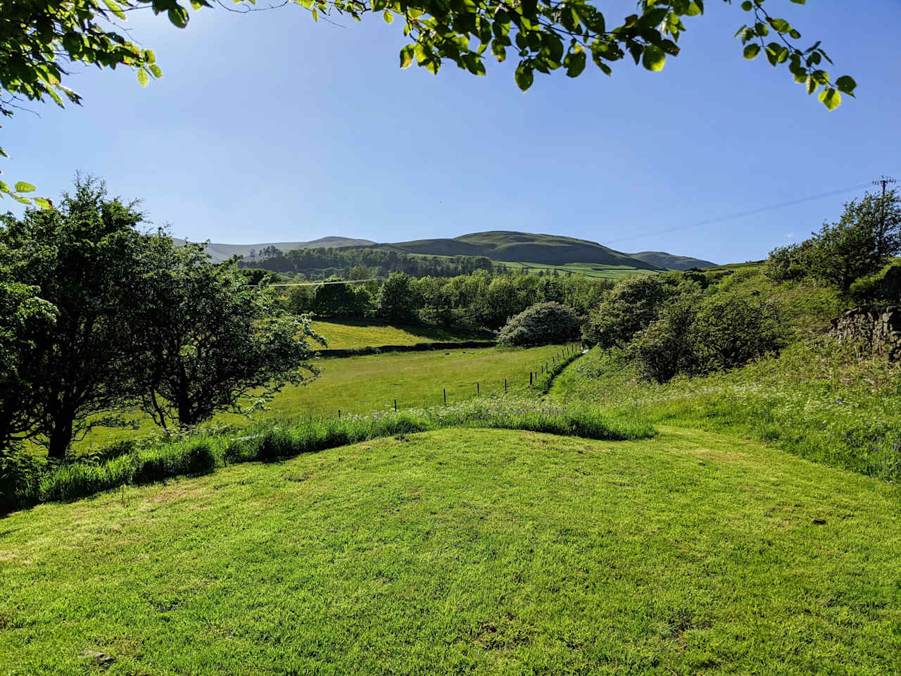 Hazel Mount Fellside
