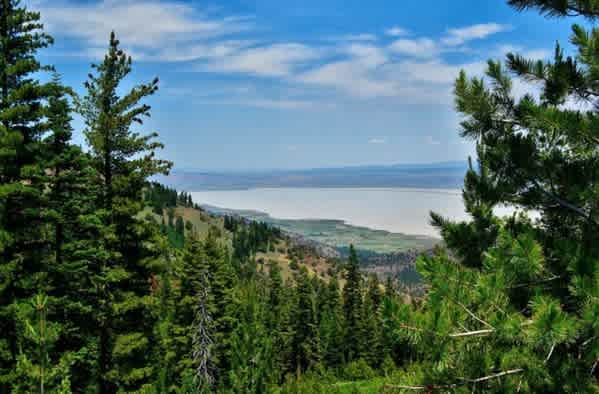 Secluded Campsite Near Delta Lake