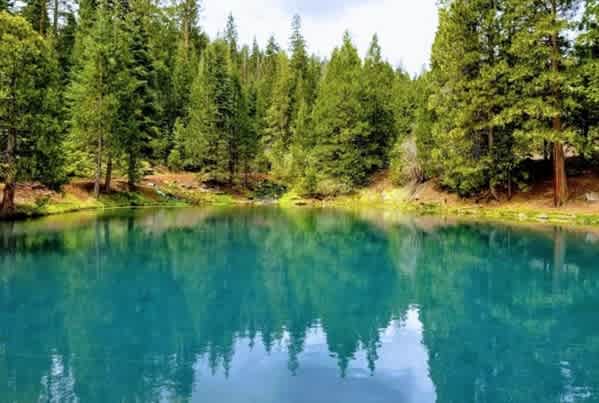 Secluded Campsite Near Delta Lake